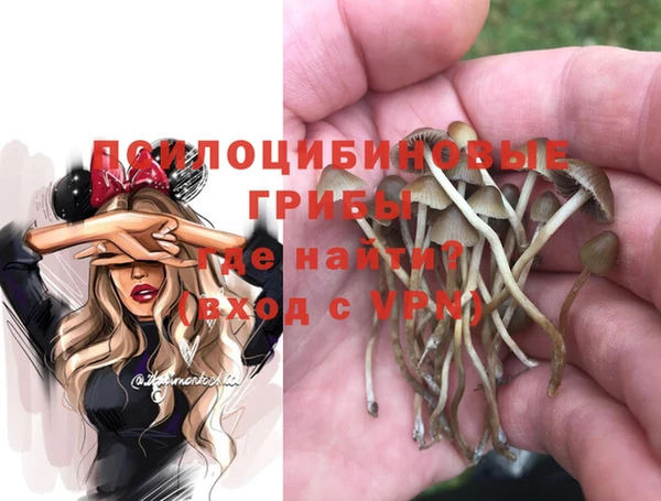 кристаллы Сатка