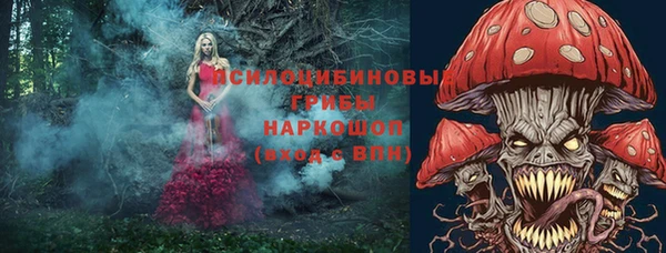 тгк Балахна