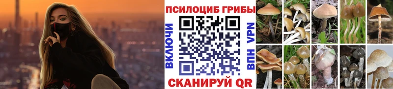 Галлюциногенные грибы MAGIC MUSHROOMS Рудня